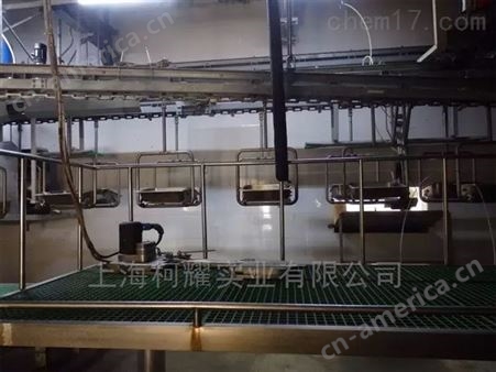 上海轨道称猪非标电子秤