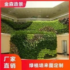 西安绿植盆景批发 办公室植物墙 仿真立体绿化墙-金森造景