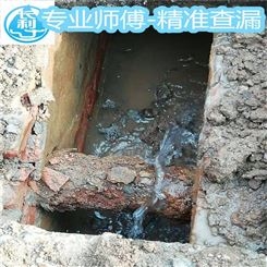横县渗漏源检测公司 找到暗水管漏水点-广西长利
