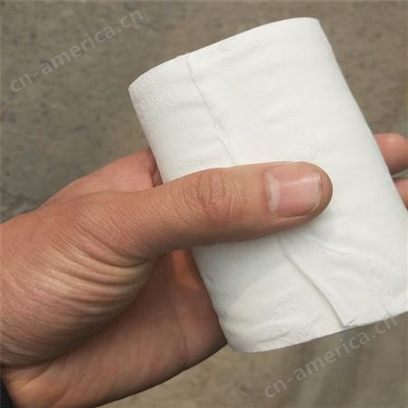 宾馆酒店用小卷纸 空芯卷纸 卫生间厕纸 4层压花25克200