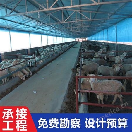 牛羊舍搭建结构图 肉羊养殖羊舍建设标准智能养殖羊棚