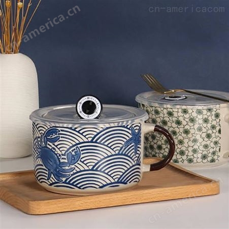 日式创意家用陶瓷泡面碗带盖 便当盒学生饭盒方便面碗汤碗套装