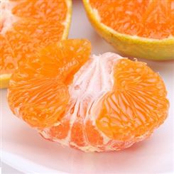 橘子新鲜桔子高山蜜桔无籽蜜橘桔子批发一件代发孕妇水果10斤装包